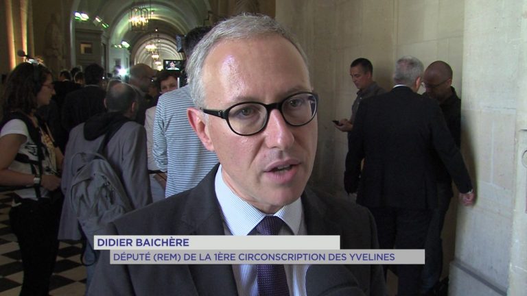 Congrès de Versailles : les élus yvelinois réagissent au discours Emmanuel Macron