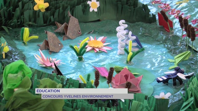 Environnement : les enfants sensibilisés à l’importance des mares