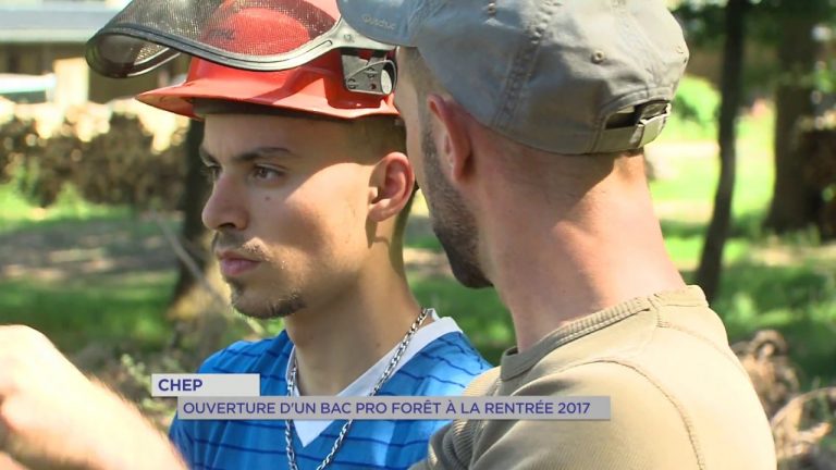 Education : un bac pro dédié aux métiers de la forêt