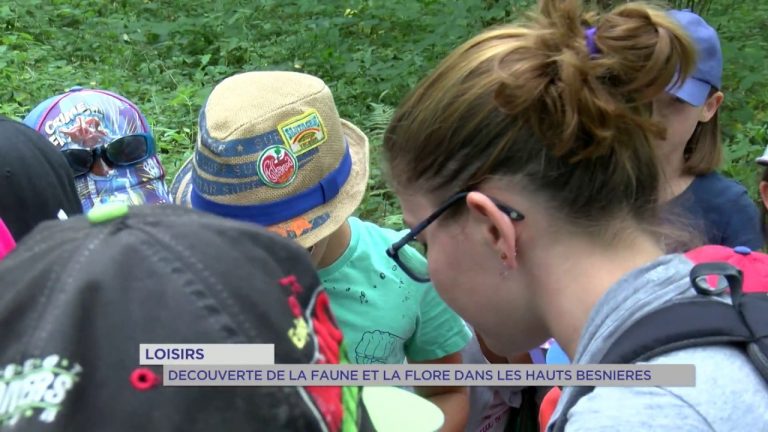 Association Ville Verte : découverte de la faune et la flore