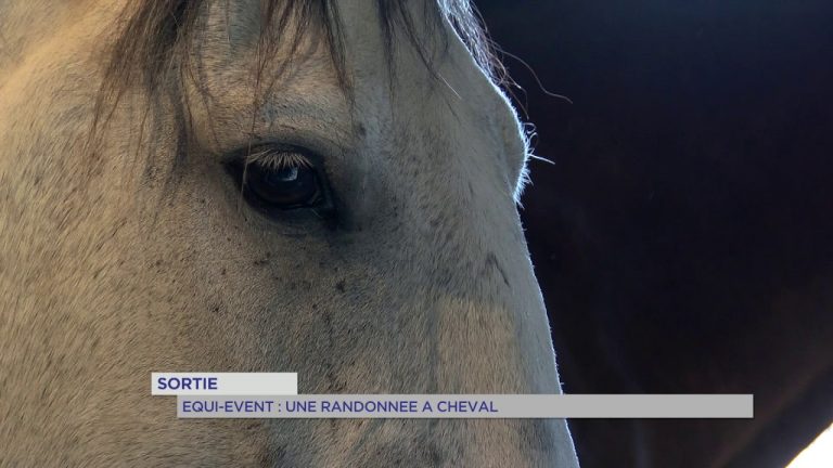 Equi-Event : Randonnée à cheval