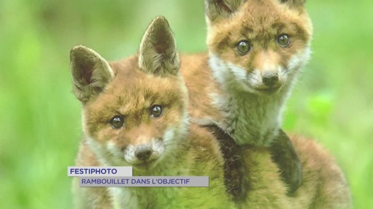 ‘Festiphoto’ : Rambouillet dans l’objectif