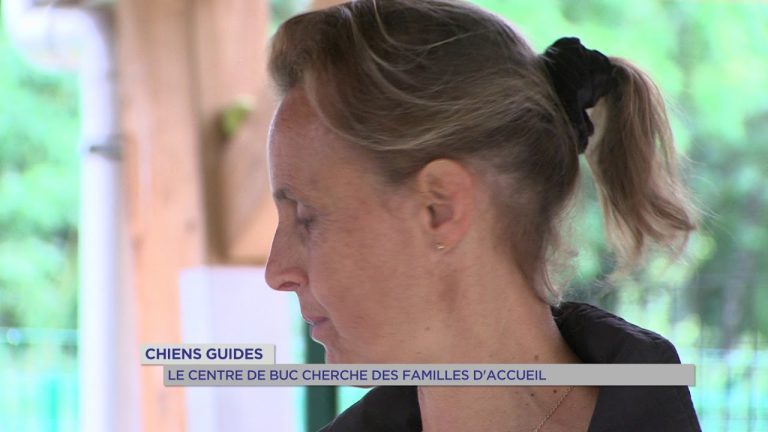 Chiens guides : le centre de Buc cherche des familles d’accueil