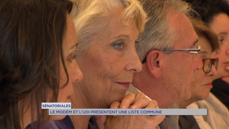 Sénatoriales : Modem et UDI présentent une liste commune