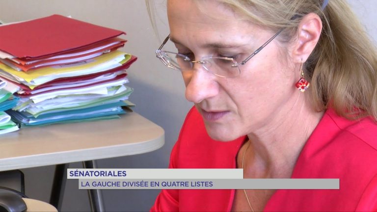 Sénatoriales : la gauche divisée