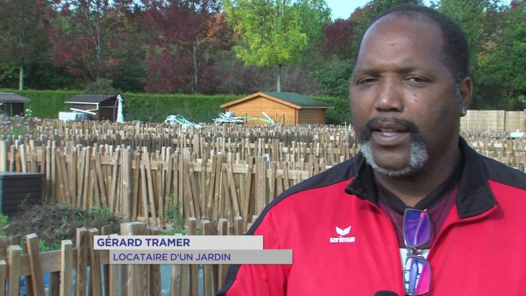 Guyancourt : les jardins familiaux s’agrandissent