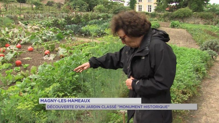 Magny-les-Hameaux : Découverte d’un jardin classé ‘Monument historique’