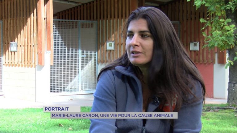 Portrait : une vie pour la cause animale