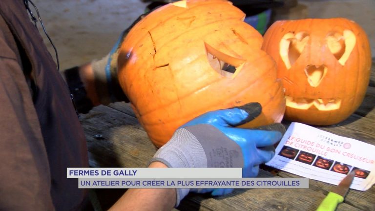 Citrouilles : des ateliers effrayants !