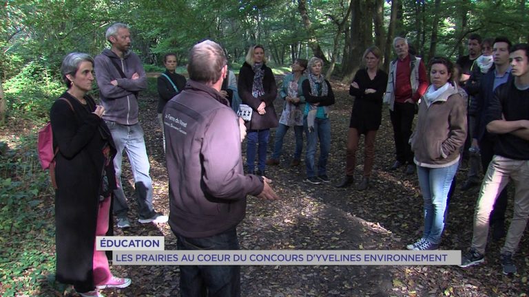 Yvelines Environnement : nouveau concours pour protéger l’éco-système