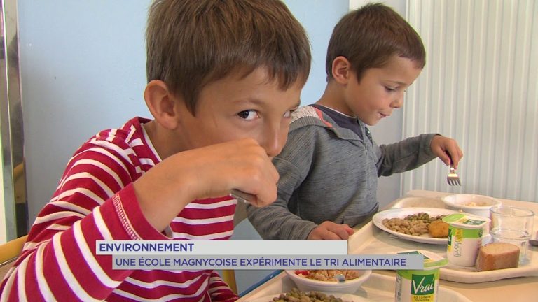 Environnement : les bons gestes du tri sélectif dès l’école