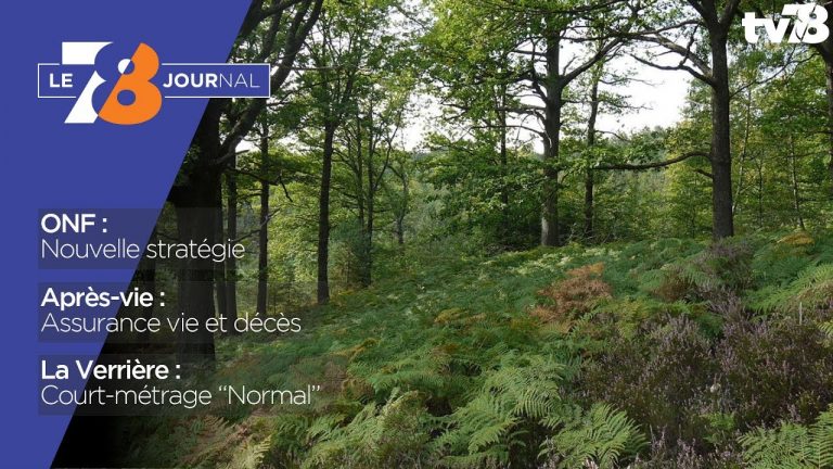 7/8 Le journal – lundi 30 octobre 2017