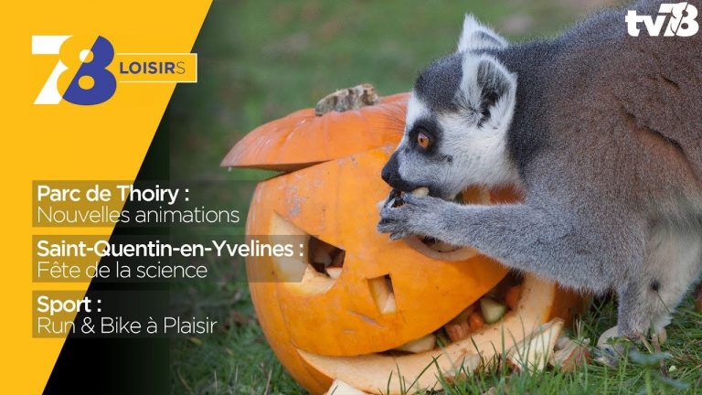 7/8 Loisirs – vendredi 6 octobre 2017