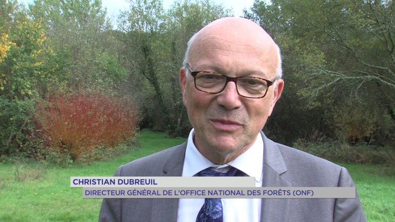 Environnement : une convention pour la bio-diversité