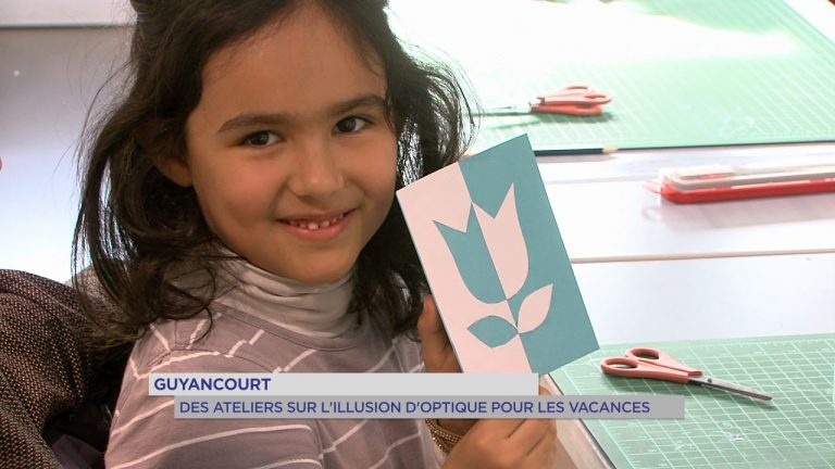 Guyancourt : des ateliers sur l&rsquo;illusion optique pendant les vacances