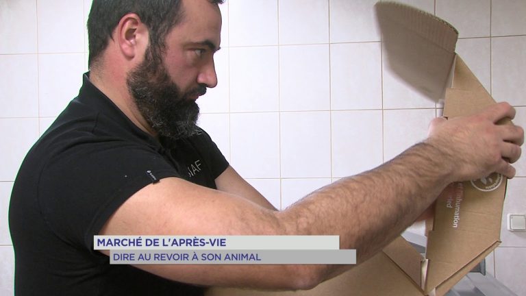Marché de l&rsquo;après-vie : Dire au revoir à son animal