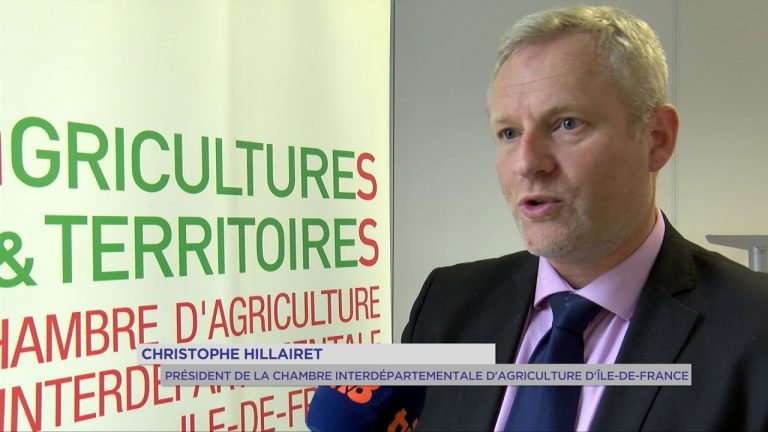 Agriculture : lutter contre l’insécurité dans les exploitations
