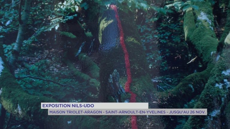 Exposition : la nature rêvée de Nils Udo