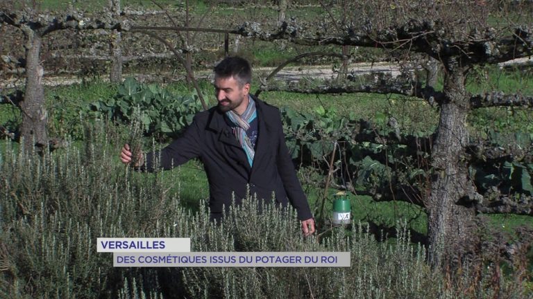 &lsquo;Mademoiselle Saint-Germain&rsquo; : des cosmétiques issus du potager du roi !
