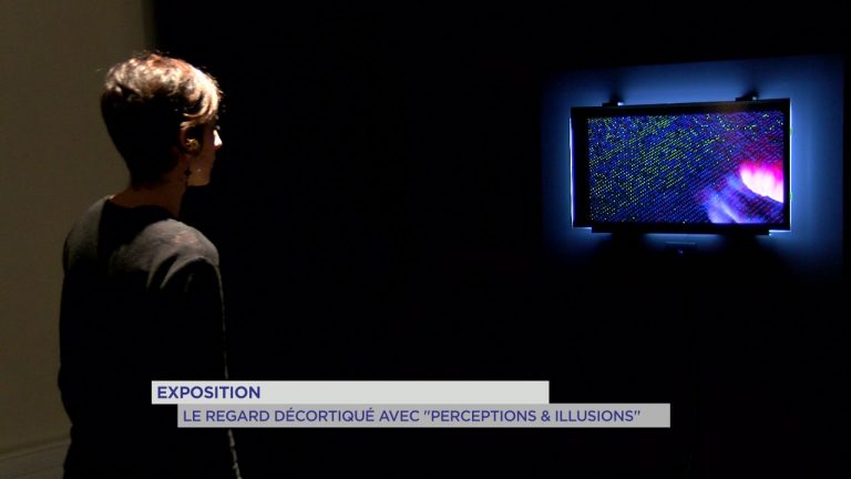Exposition : ‘ Perceptions & Illusions ‘