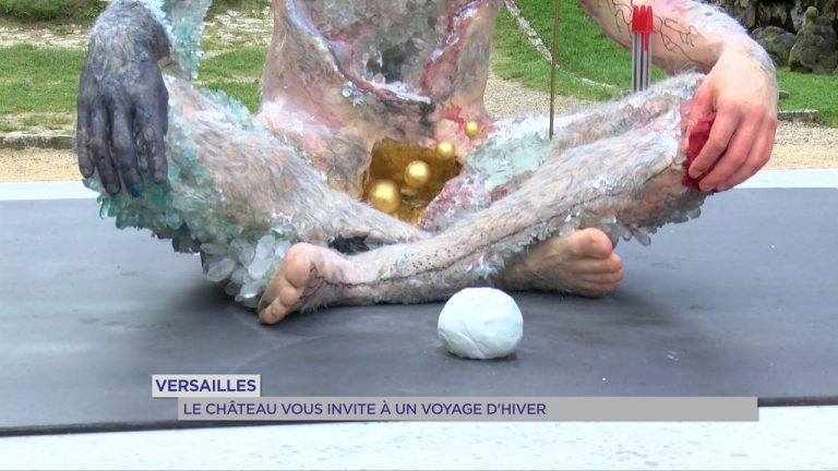 Versailles : voyage d&rsquo;hiver au château