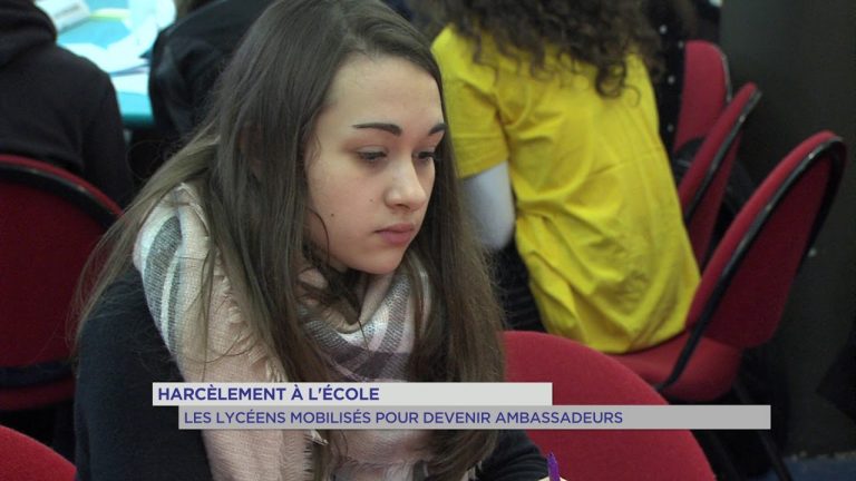 Harcèlement scolaire : journée de sensibilisation auprès des écoliers