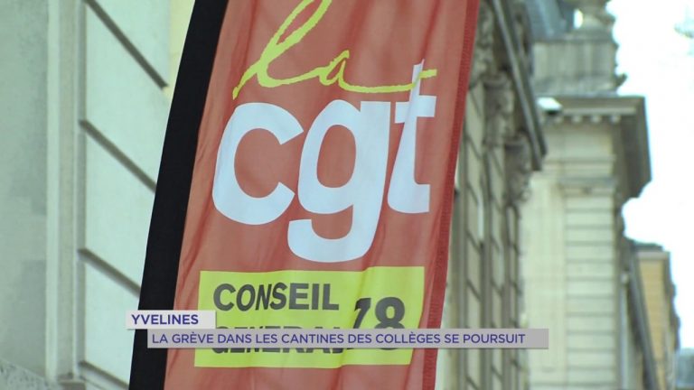 Yvelines : grève dans les cantine
