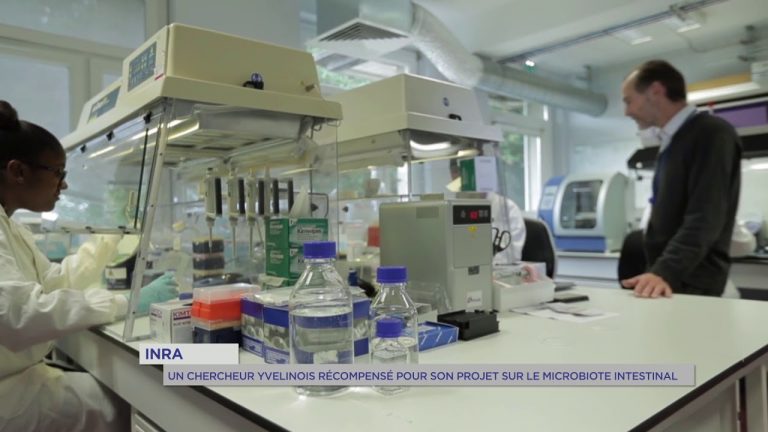 Santé : un chercheur de l&rsquo;INRA récompensé
