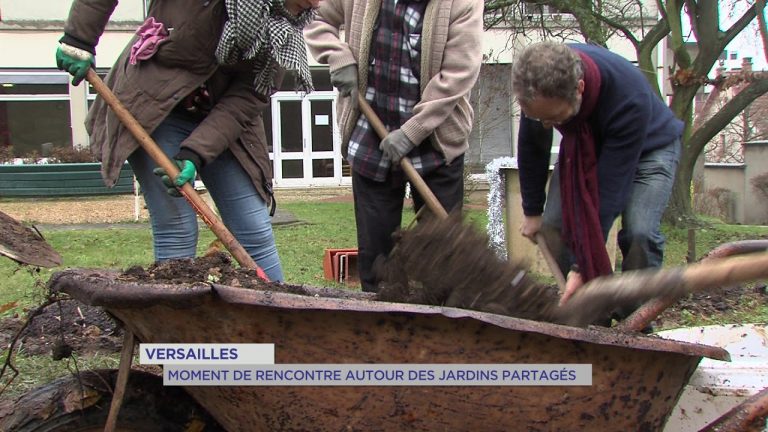 Versailles : &lsquo;Les Colibris&rsquo; lancent un jardin partagé