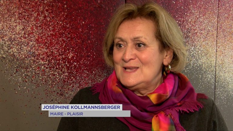 Plaisir : une vingtaine d’artistes au 8ème salon des Arts