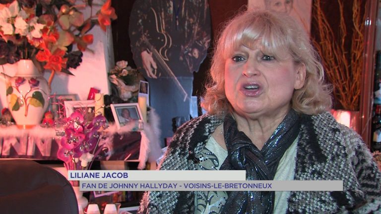 Johnny Hallyday : ses fans pleurent sa disparition