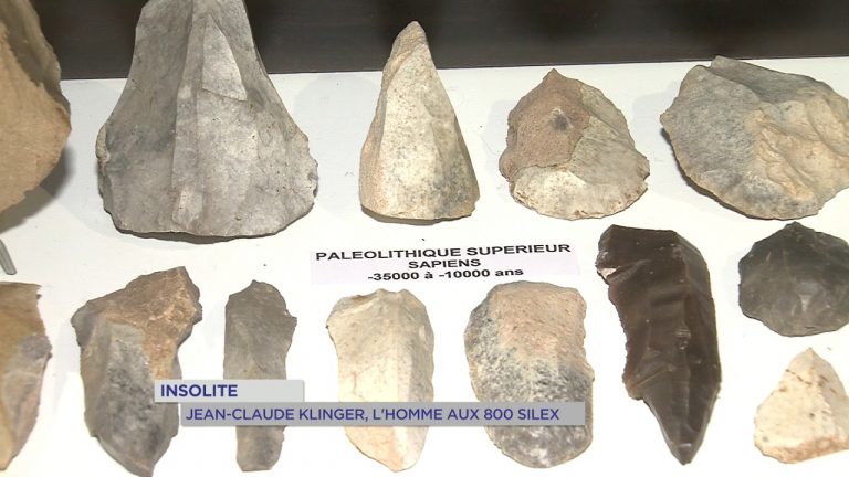 Insolite : il collectionne les fossiles