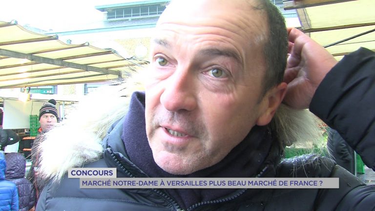 Marché Notre-Dame à Versailles : le plus beau marché de France ?