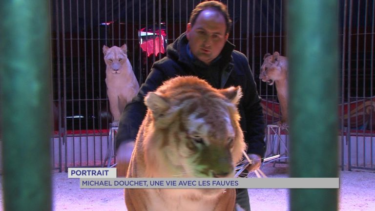Portrait : Michaël Douchet, plus jeune dompteur de fauves en Europe