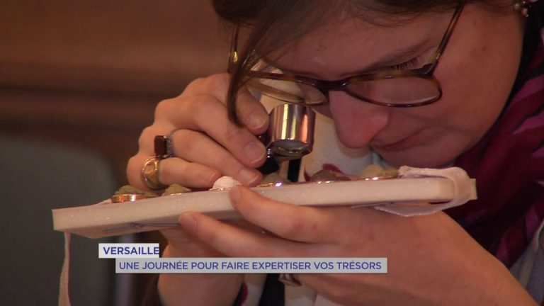 Versailles : une journée pour faire expertiser vos trésors