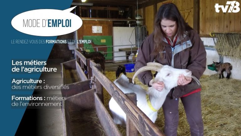 Mode d’emploi : les métiers de l’agriculture
