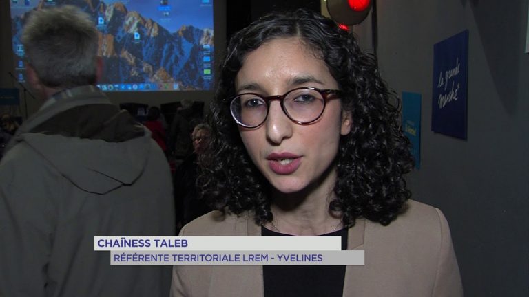 Europe : la ‘grande marche’ du parti présidentiel