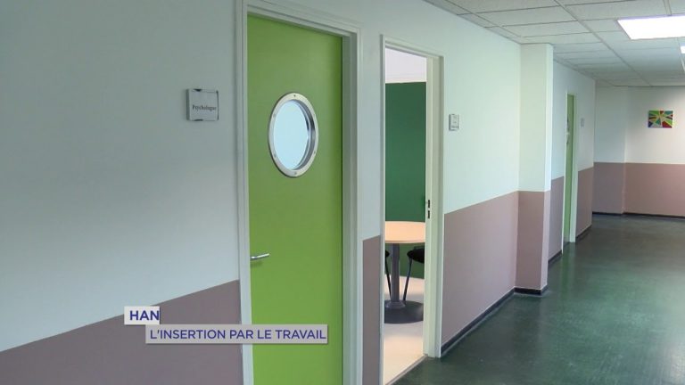 Handicap : l’insertion par le travail avec ‘Délos Apei’