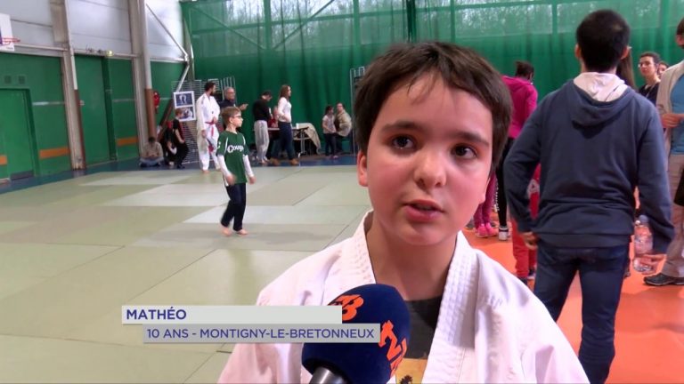 Arts martiaux : Journée découverte à Montigny-le-Bretonneux