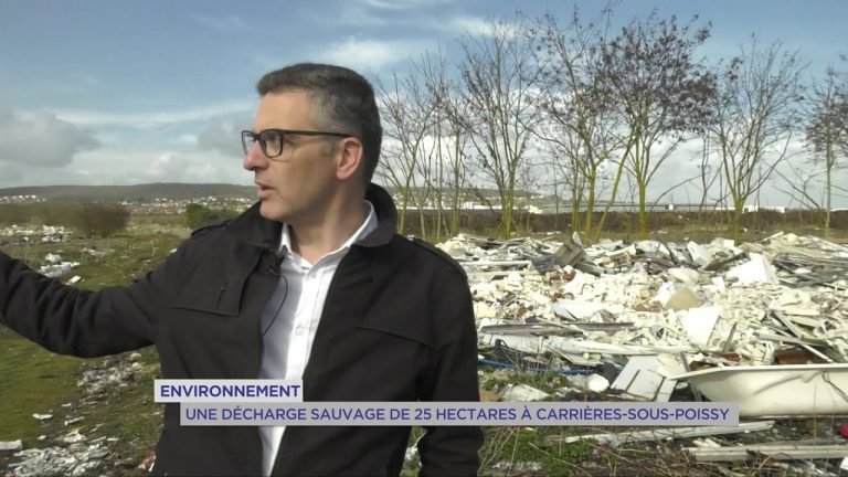 Environnement : une décharge sauvage de 25 hectares à Carrières-sous-Poissy