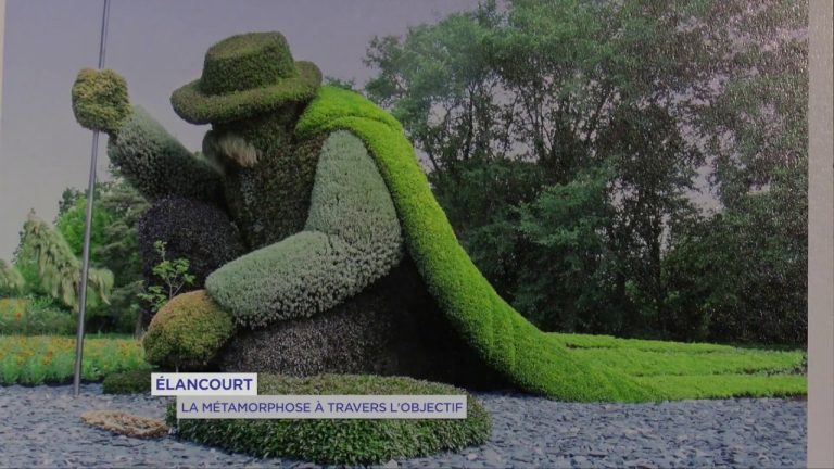 Elancourt : la métamorphose à travers l’objectif