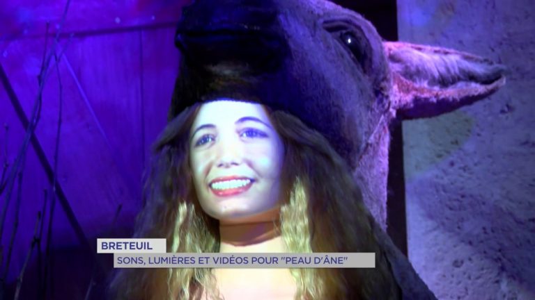 Breteuil : sons, lumières et vidéos pour &lsquo;peau d&rsquo;âne&rsquo;