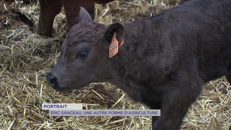 Portrait : Eri Sanceau, une autre façon de faire de l’élevage et de l’agriculture