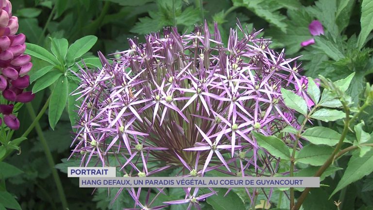 Portrait : Hang Defaux, passion jardin