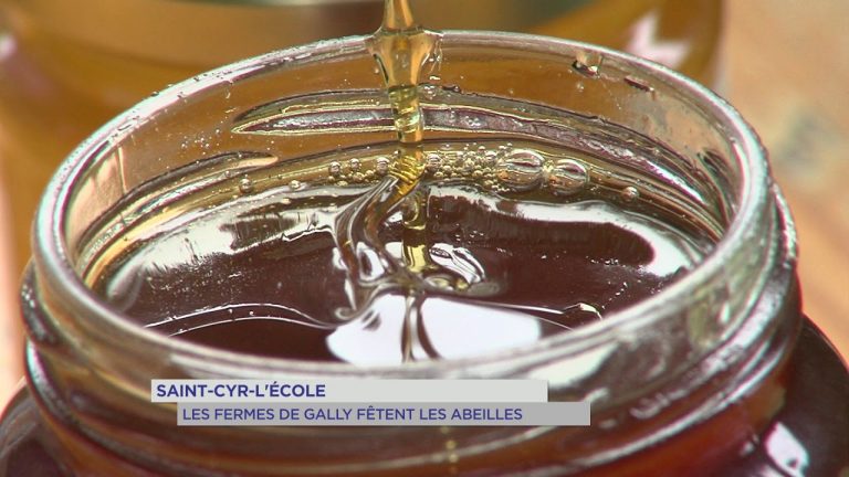 Environnement : les &lsquo;Fermes de Gally&rsquo; au secours des abeilles