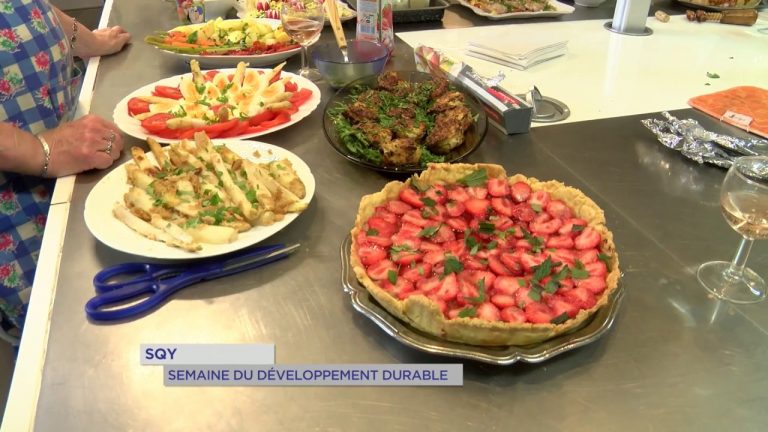 Environnement : le développement durable en pratique à SQY