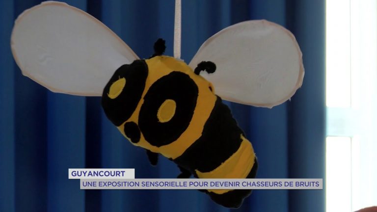 Guyancourt : une exposition sensorielle pour devenir chasseurs de bruit