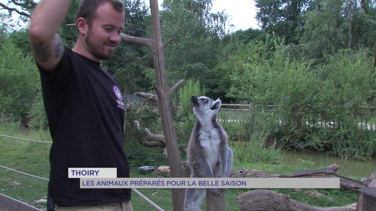 Thoiry : Les animaux préparés pour la belle saison