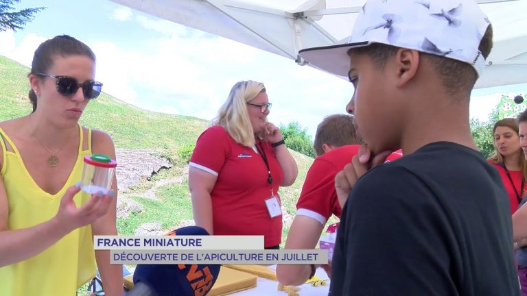 France Miniature : Découverte de l’apiculture en juillet