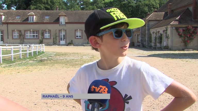 Patrimoine : les enfants restaurent la Bergerie Nationale de Rambouillet